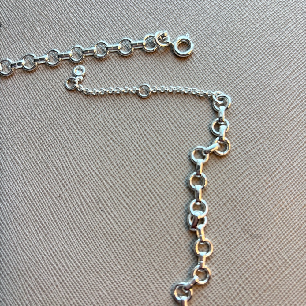 Roll Link Clean Silver Chain Necklace Nordstrom Brand - Picture 7 of 8